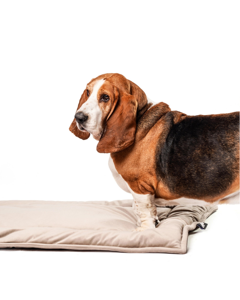 The Melrose Napping Mat