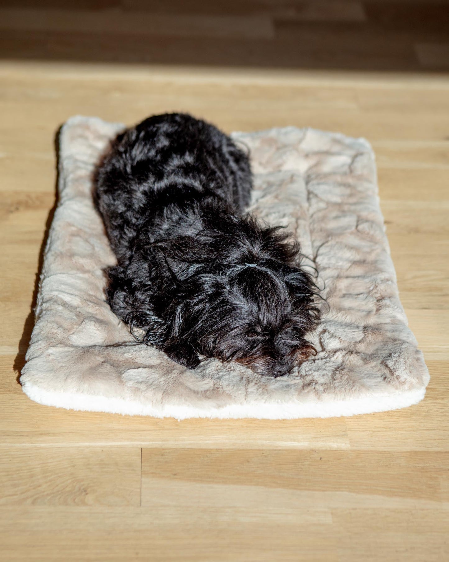 Minky Faux Fur Fleece Pet Napping Mat in Latte