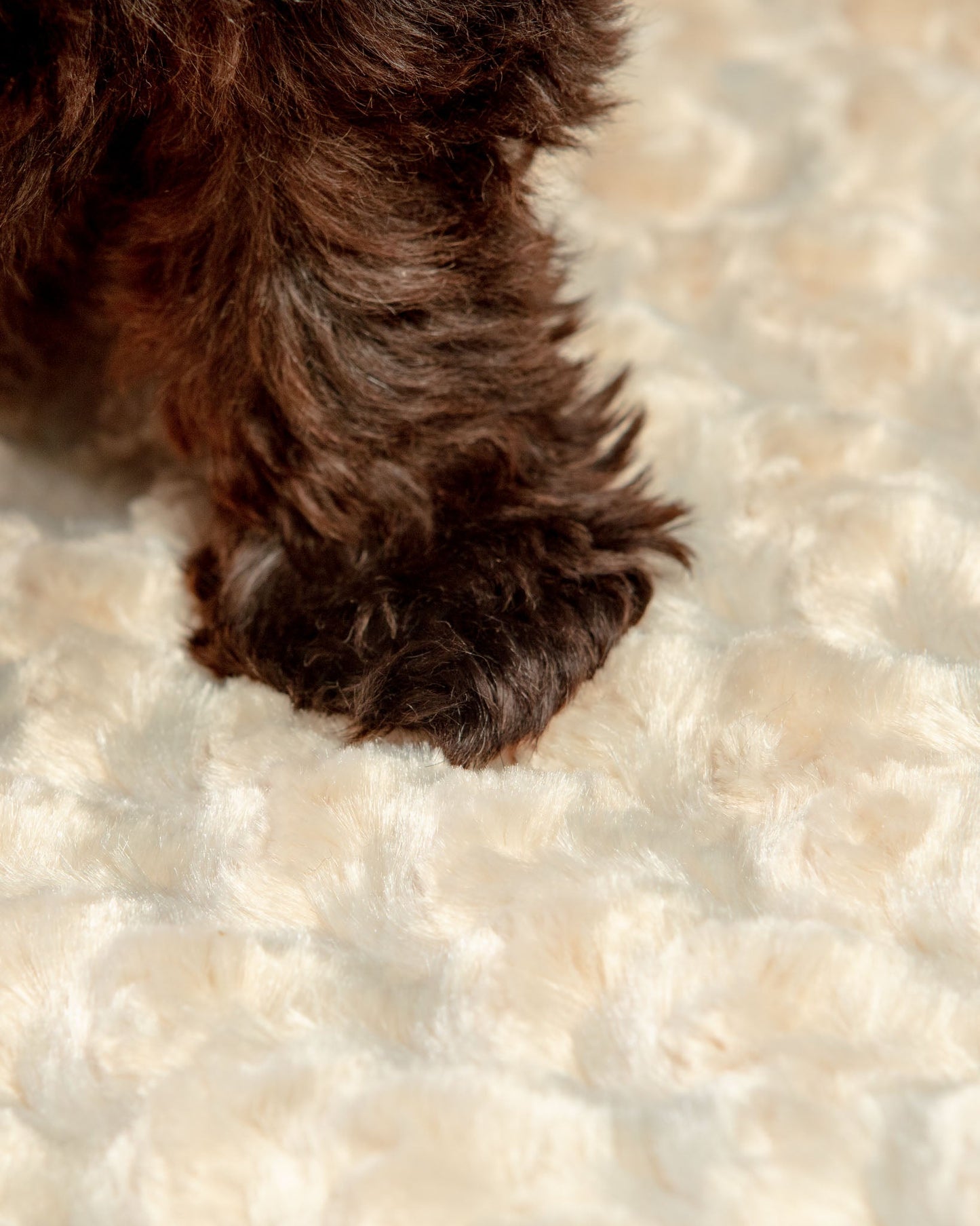 Rosebud Dog Blanket in Tan
